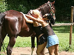 Barn Sex With Animals